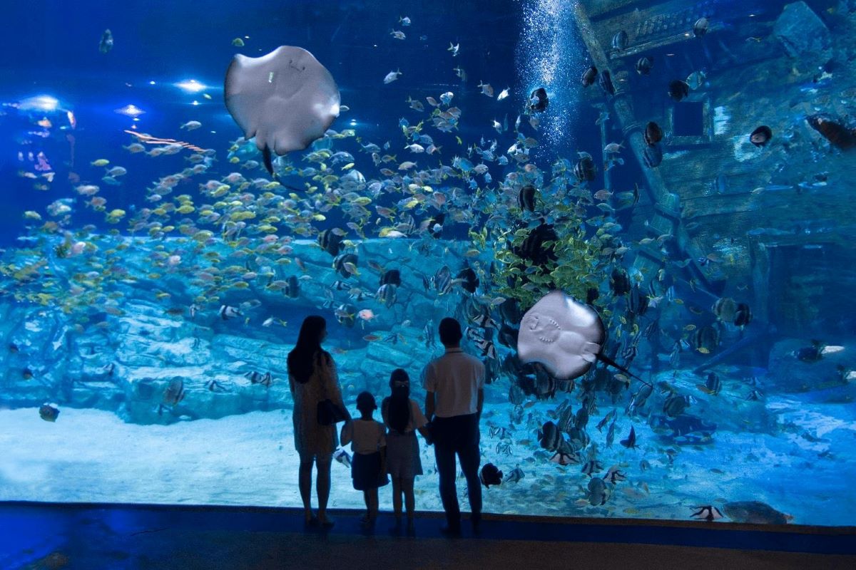 Thủy cung Lotte World nổi tiếng tại Hà Nội