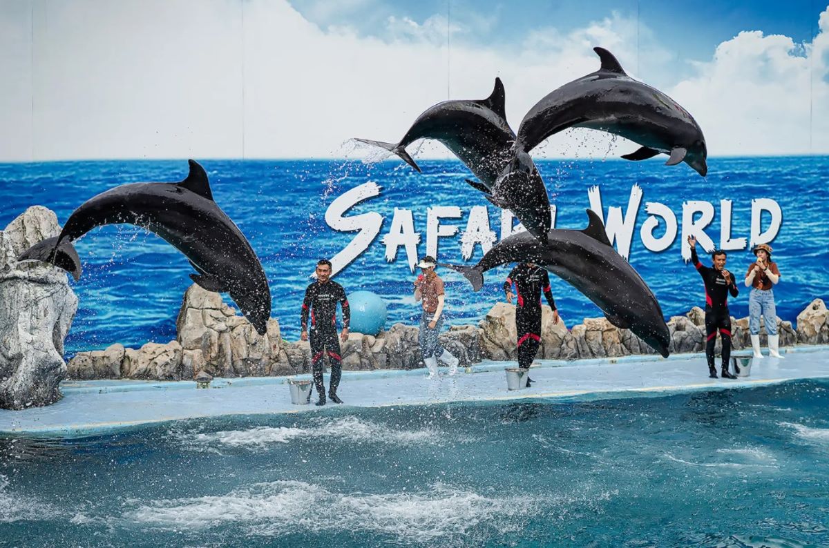 Nhiều hoạt động tham quan tại Safari World Bangkok
